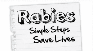 Rabies Simple Steps Save Lives