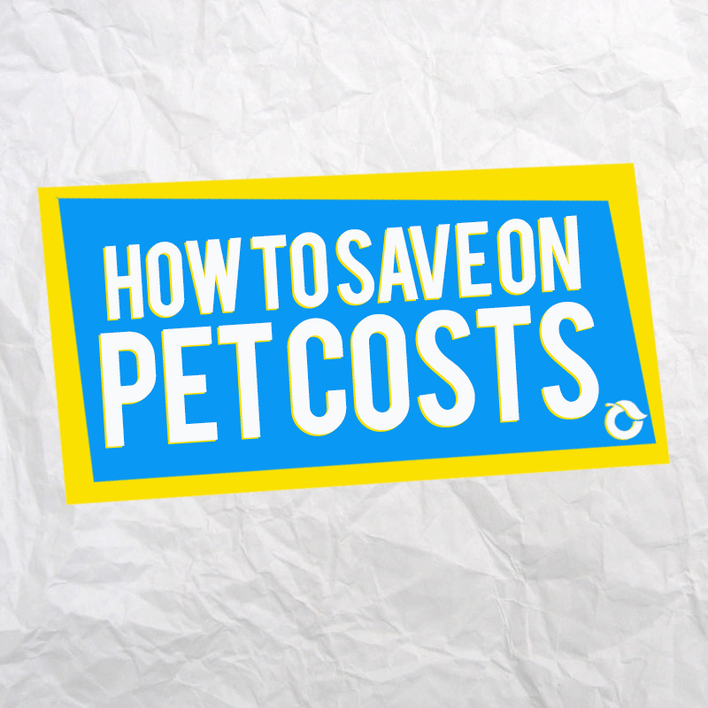 How To Save On Pet Costs Tips To Save On Pet Costs