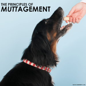mutt agement