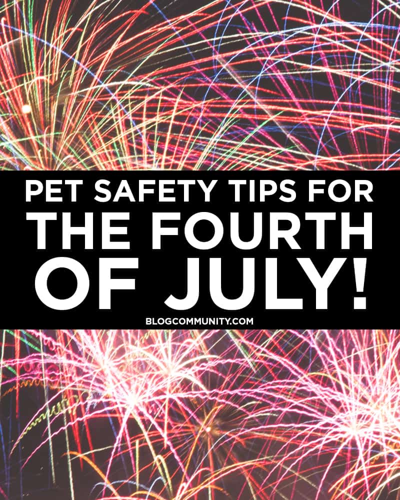Pet-tips-for-the-4th