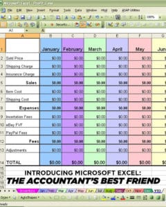 Excel and accounting