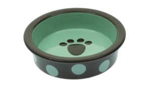 shallow dog bowl