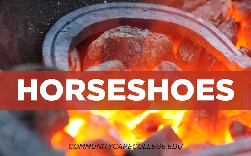 Horseshoes Community Care College
