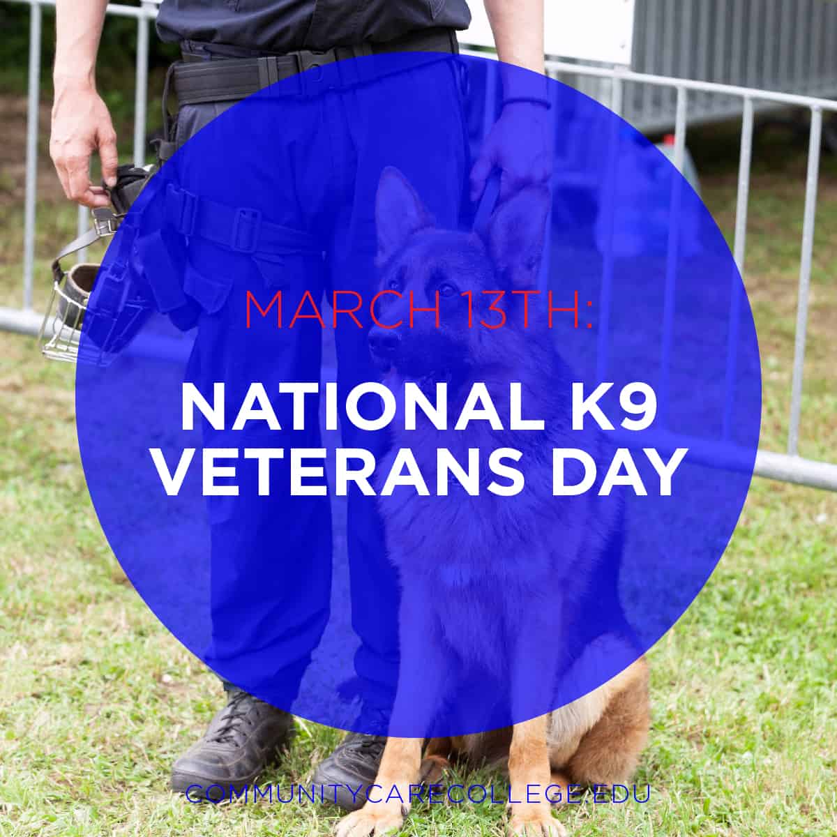 Celebrate Our K9 Veterans National K9 Veterans Day