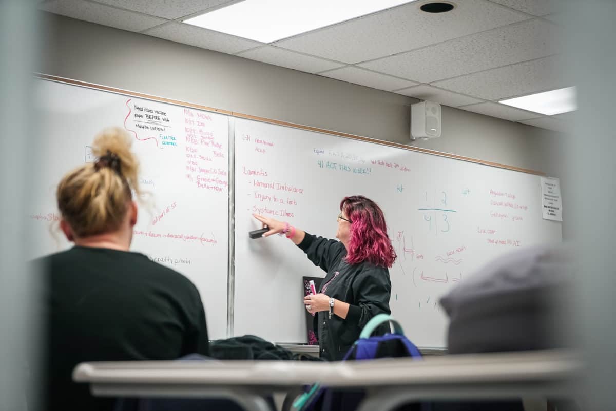 What are the Differences Between a Veterinary Technician and a