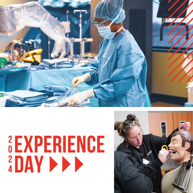 Experience Day Graphic